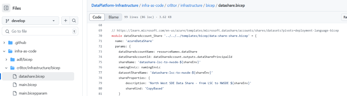 datashare bicep template